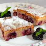 Teljes kiőrlésű szedres lepény